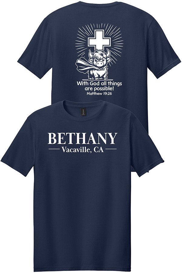 GILDAN SOFT COTTON TEE SPIRIT