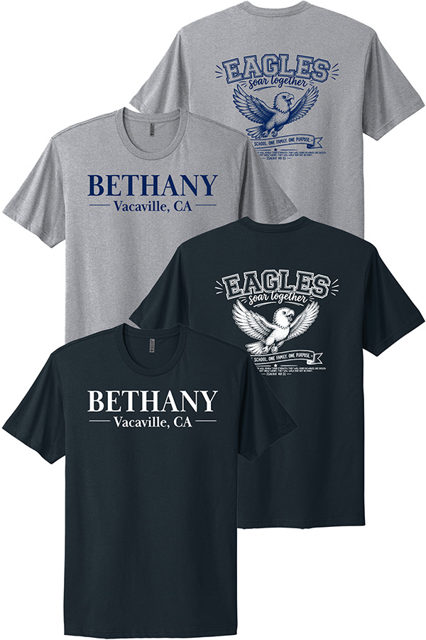 NEXT LEVEL UNISEX COTTON T'S