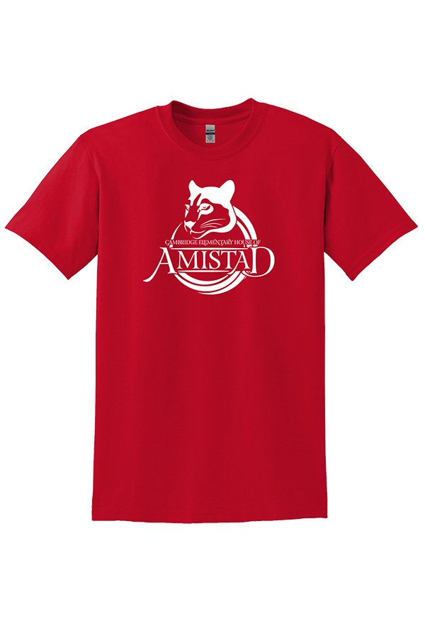 GILDAN 50/50 TEE AMISTAD