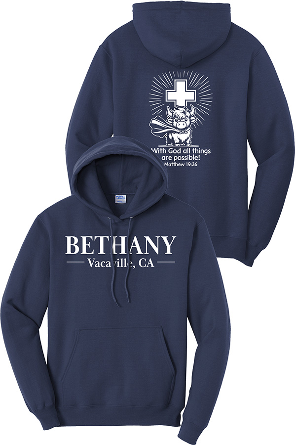 PORT HOODED SWEATSHIRT SPIRIT