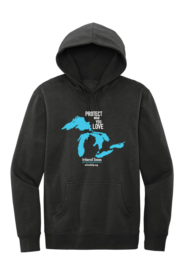 Adult Protect What You Love Hoodie DT6100