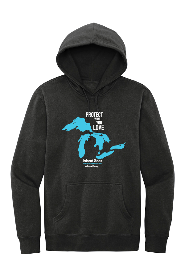 Protect What You Love Hoodie DT6100
