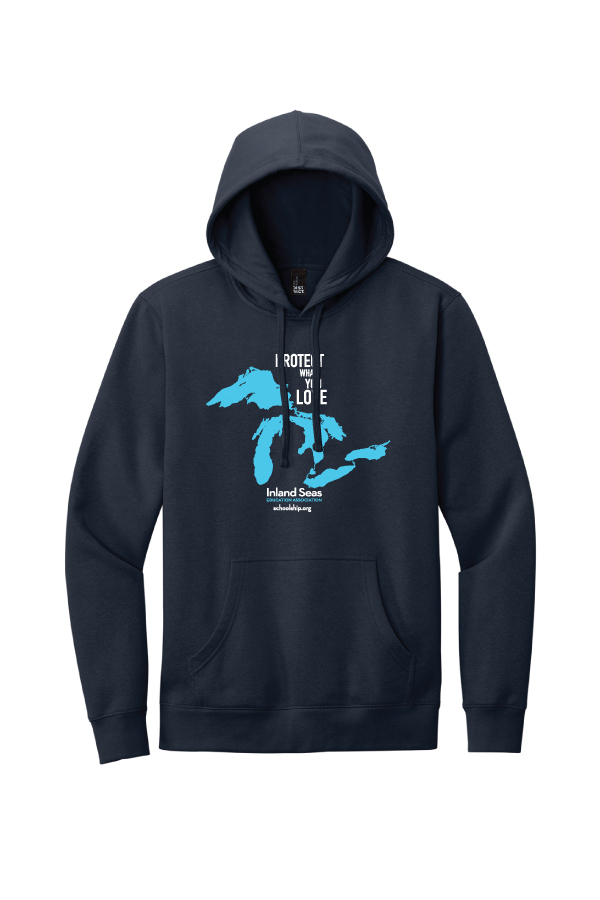 Protect What You Love Hoodie DT6100