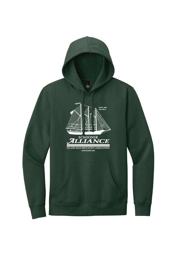 Adult Alliance Fleece Hoodie DT6100