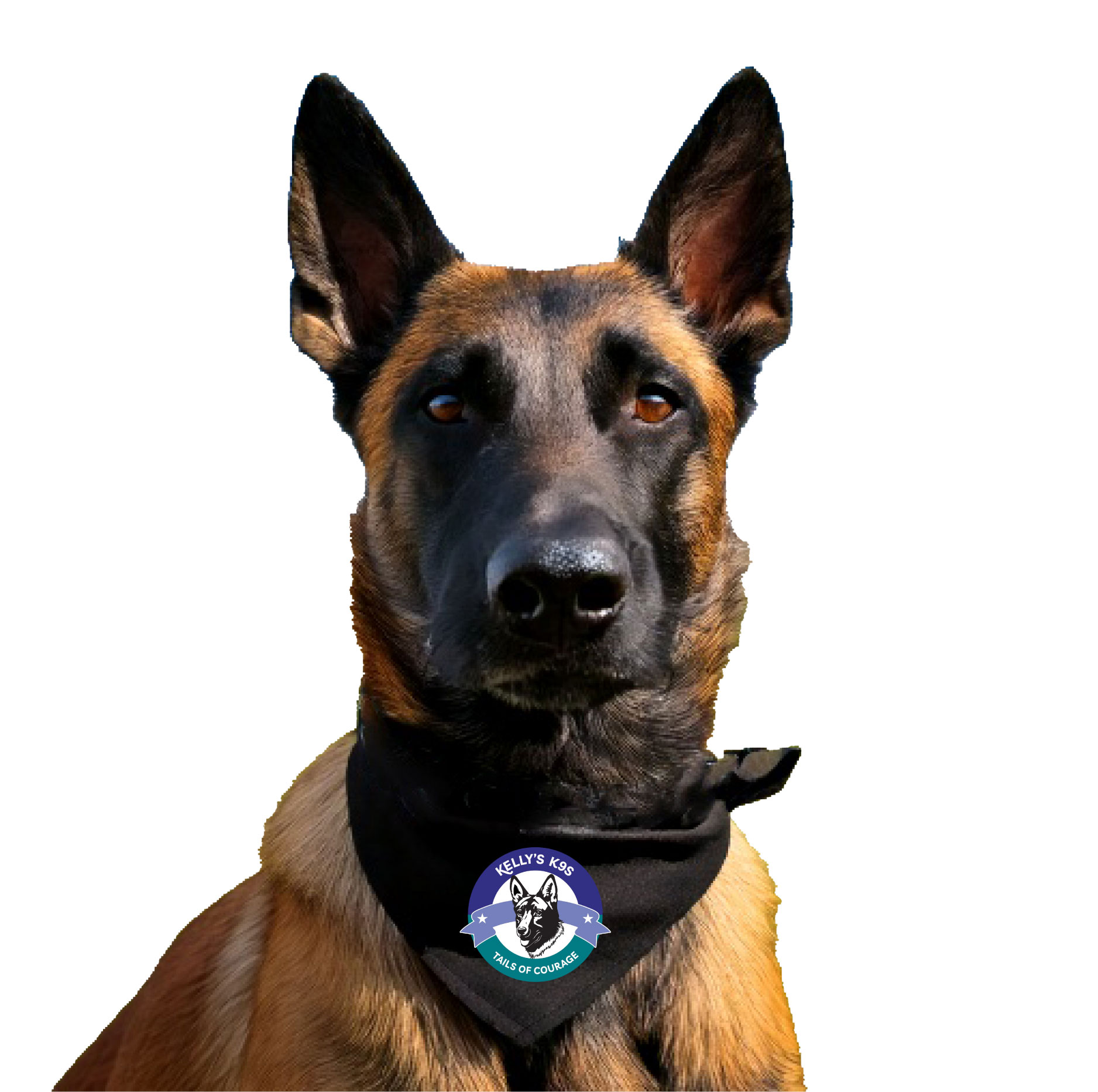 Snap & Go™ Pet Triangle Bandanna