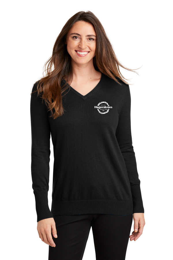 Ladies V-Neck Sweater
