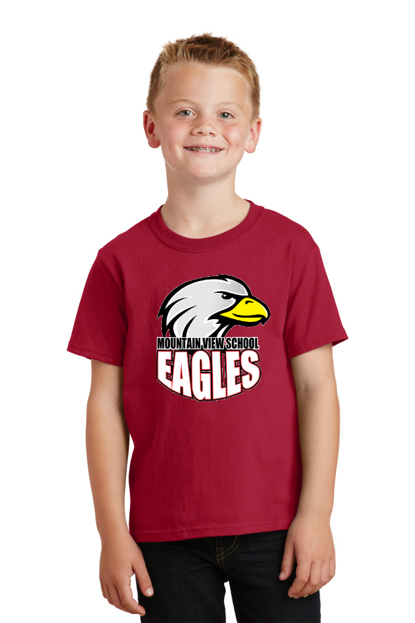 YOUTH Cotton Tee The OG PC54Y