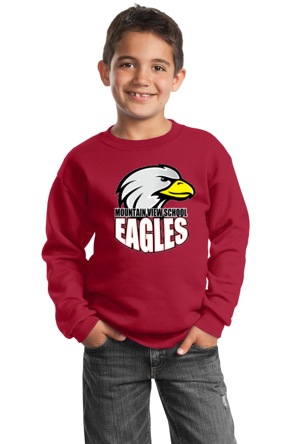 YOUTH Crewneck Sweatshirt PC90Y