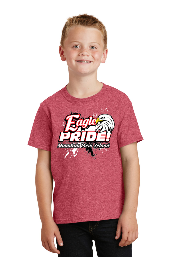 YOUTH Cotton Tee with Pride logo PC54Y