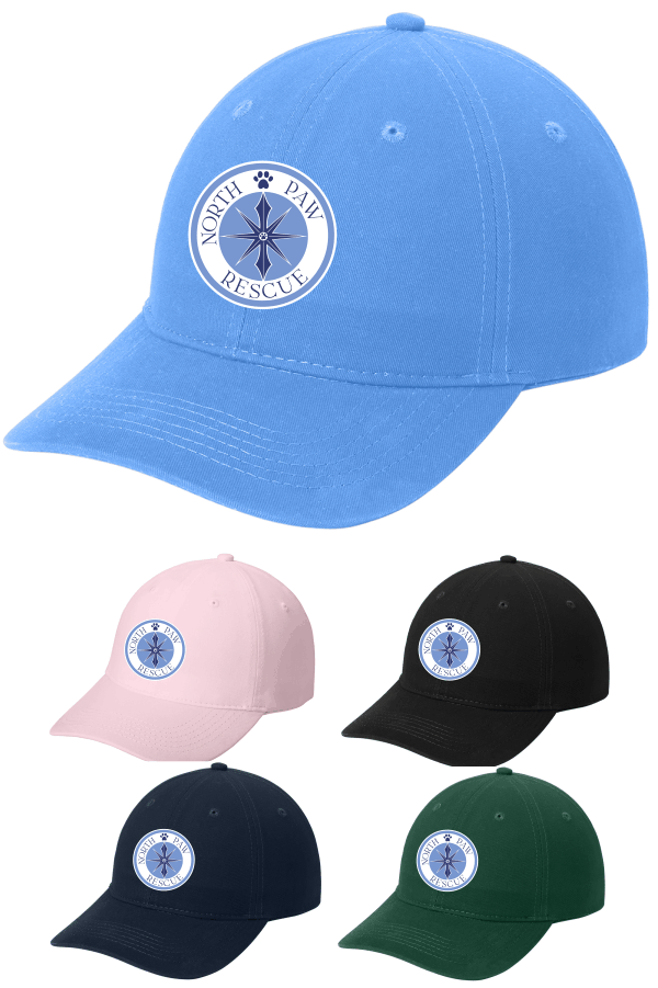 Port & Company Brushed Twill Low Profile Cap CP77