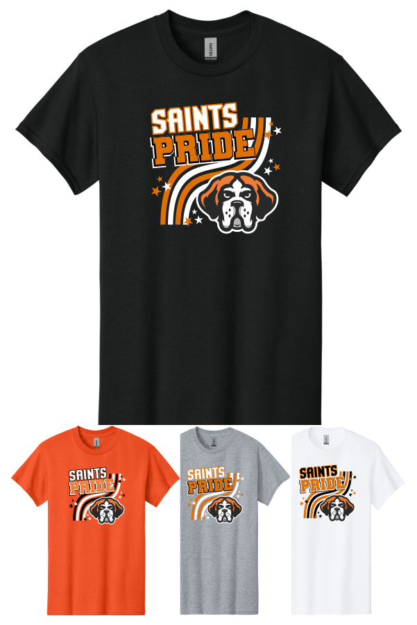 Gildan Youth Heavy 100% Cotton T-Shirt 5000B Pride