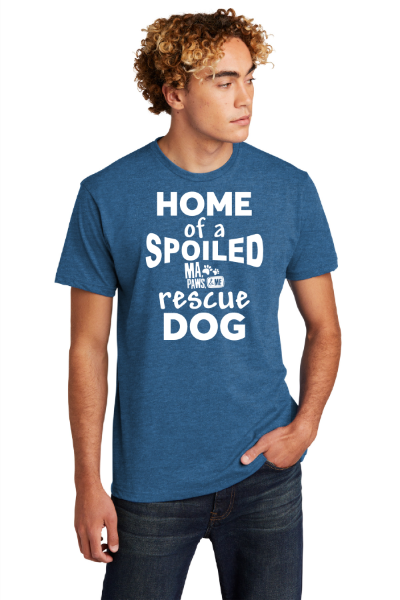 D4j-Next Level Apparel Unisex CVC Tee. NL6210