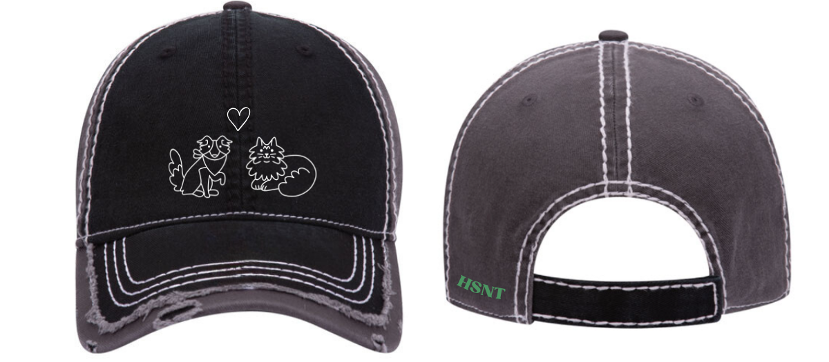HSNT Distressed Hat