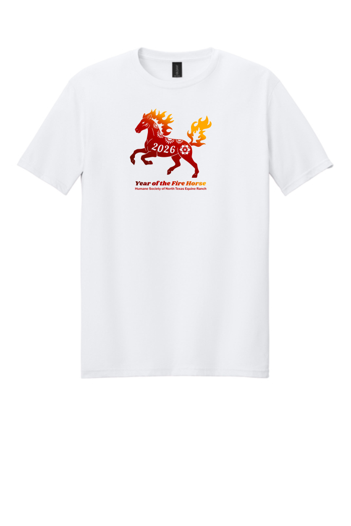 Year of the Fire Horse Shirt
