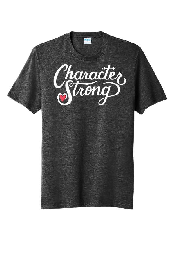Port & Co Tri-Blend Tee pc330