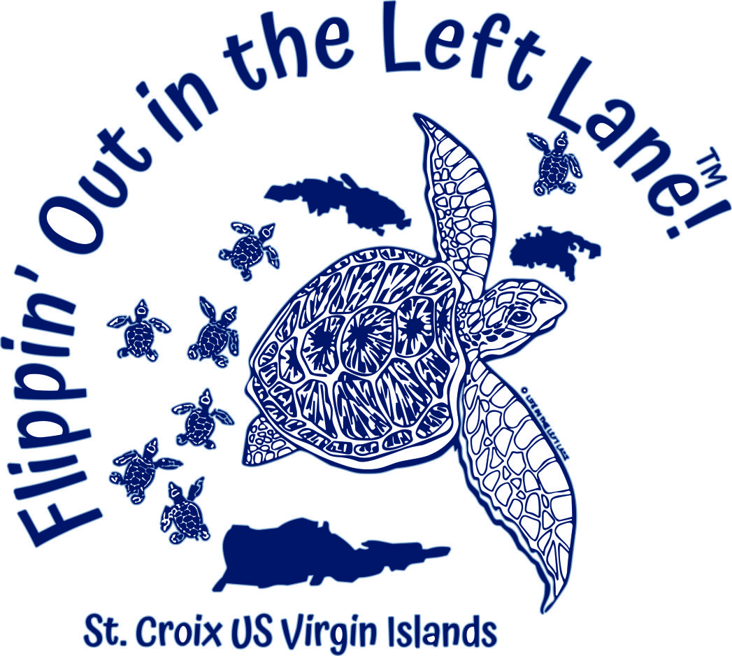 SEA TURTLE