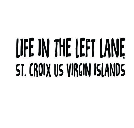 LIFE IN THE LEFT LANE