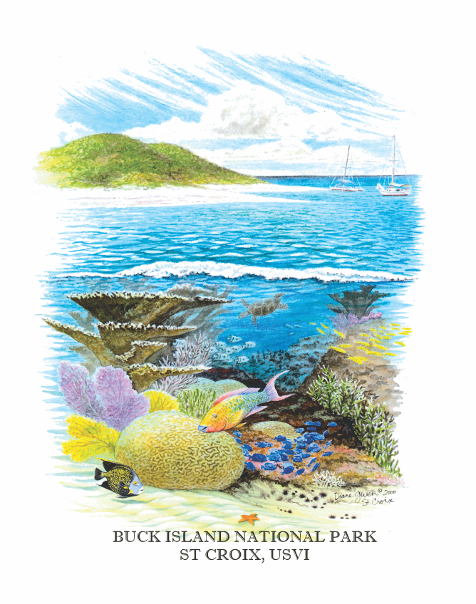BUCK ISLAND REEF