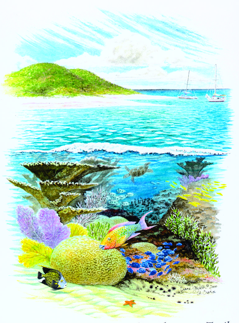 BUCK ISLAND REEF