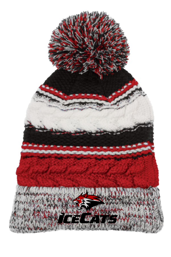 Pom Pom Team Beanie