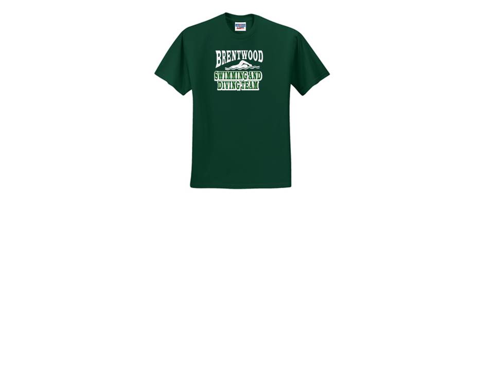 Shirt - Short Sleeve - BR