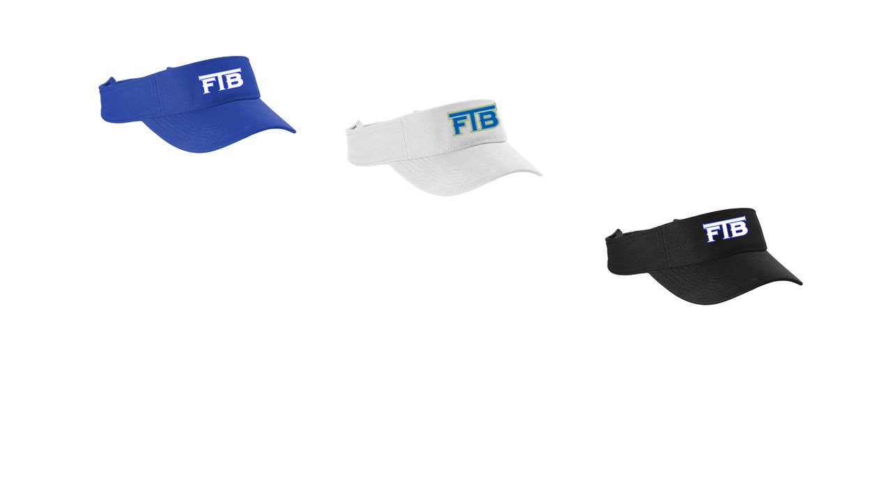 Visor