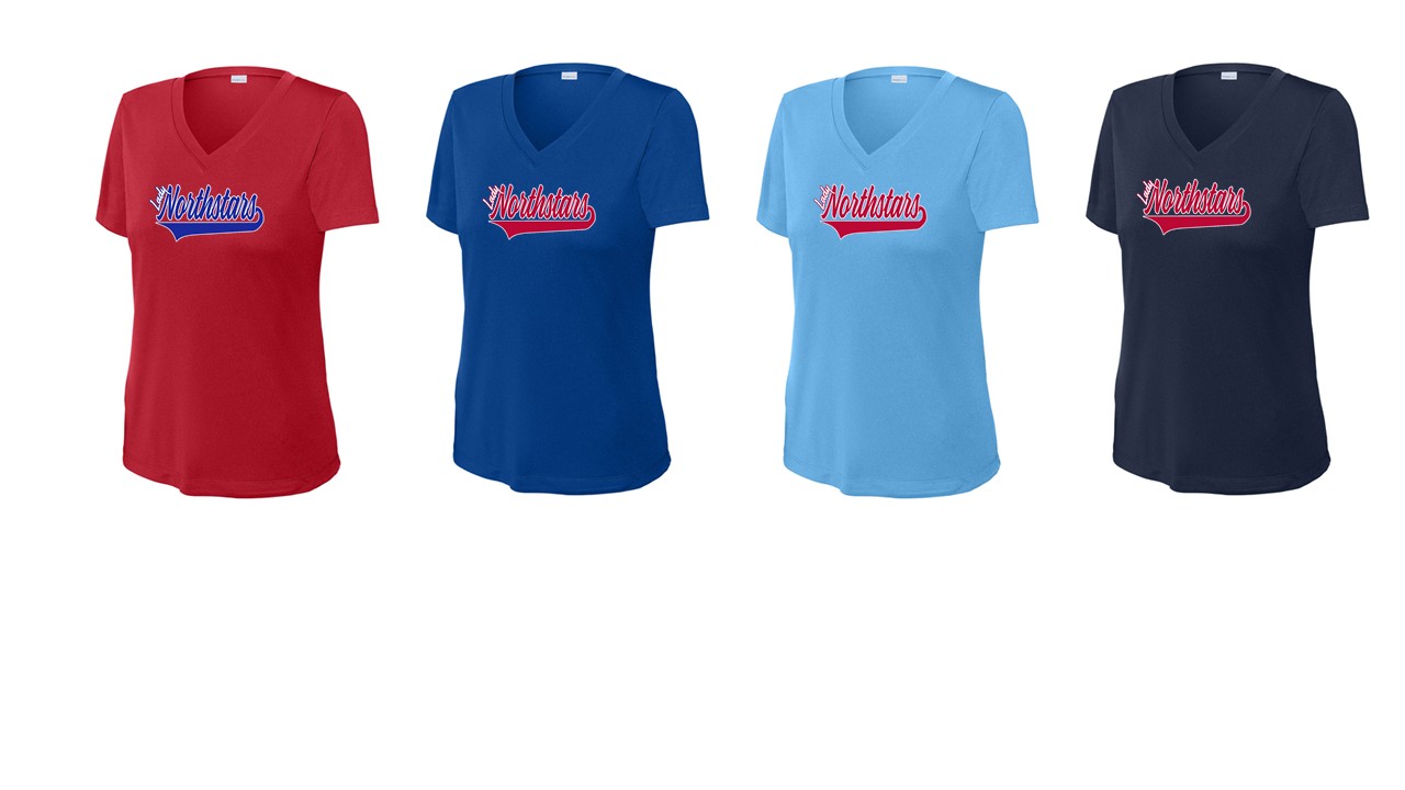 Ladies V-Neck - Performance