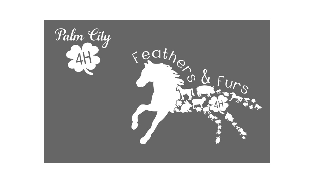 4 H Logo *ONLY* Front and Back
