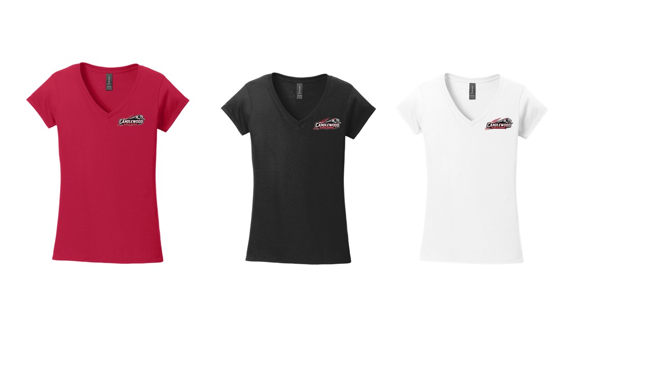 Ladies V-Neck Shirt