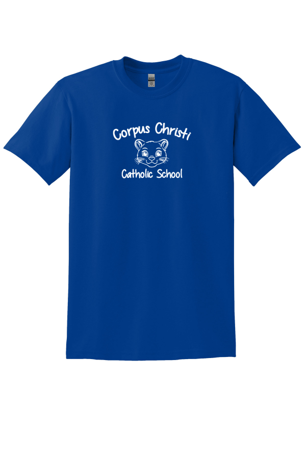 Pre K Adult Tee shirt