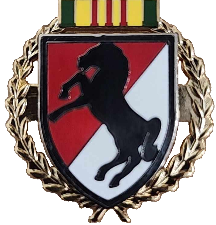 Vietnam Blackhorse Pin
