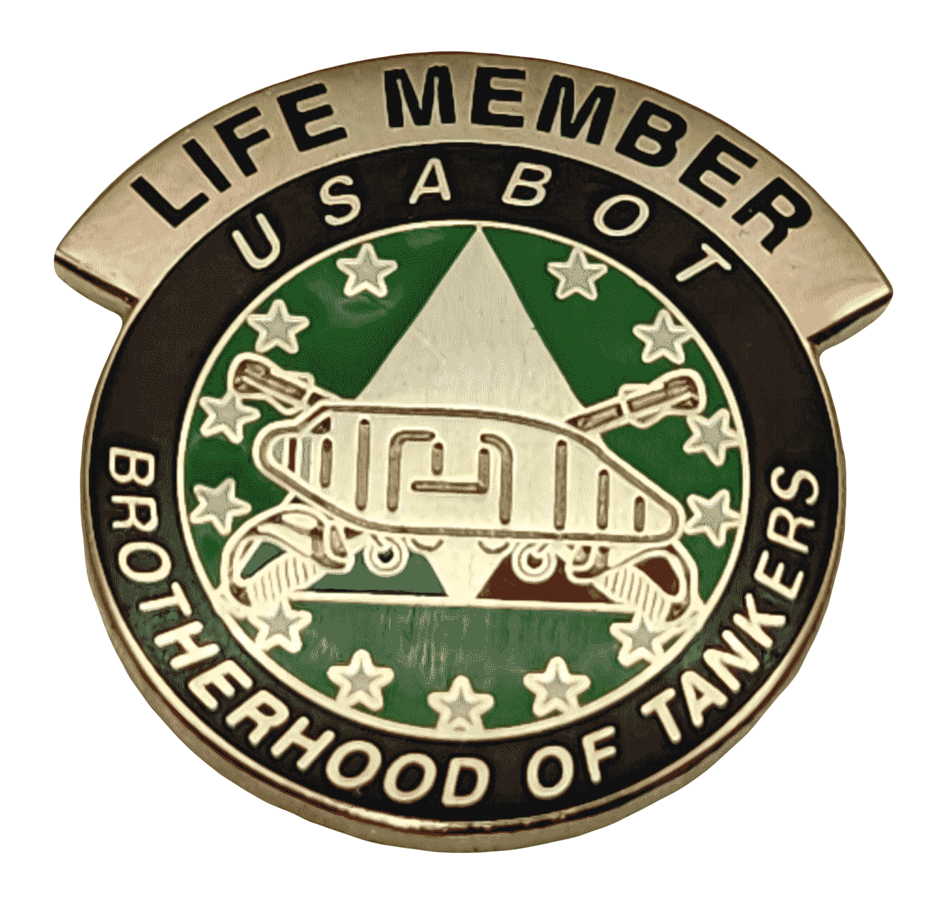 USABOT LIFE MEMBER LAPEL PIN
