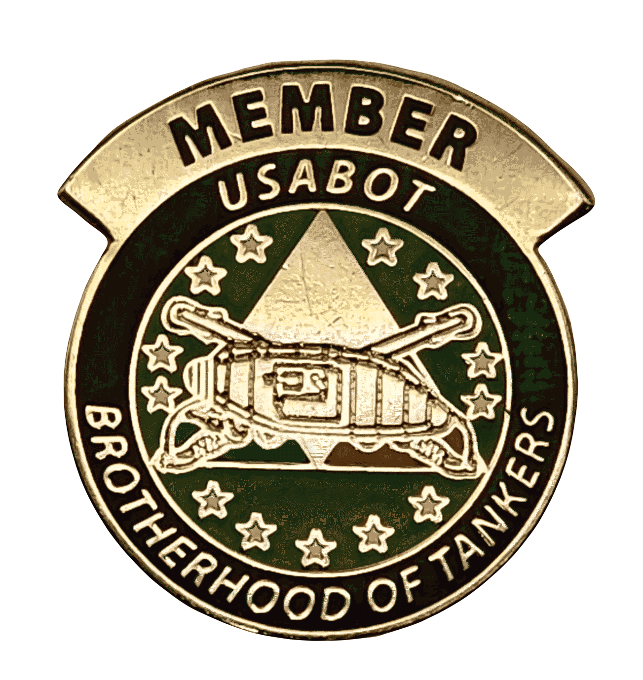 USABOT MEMBER PIN
