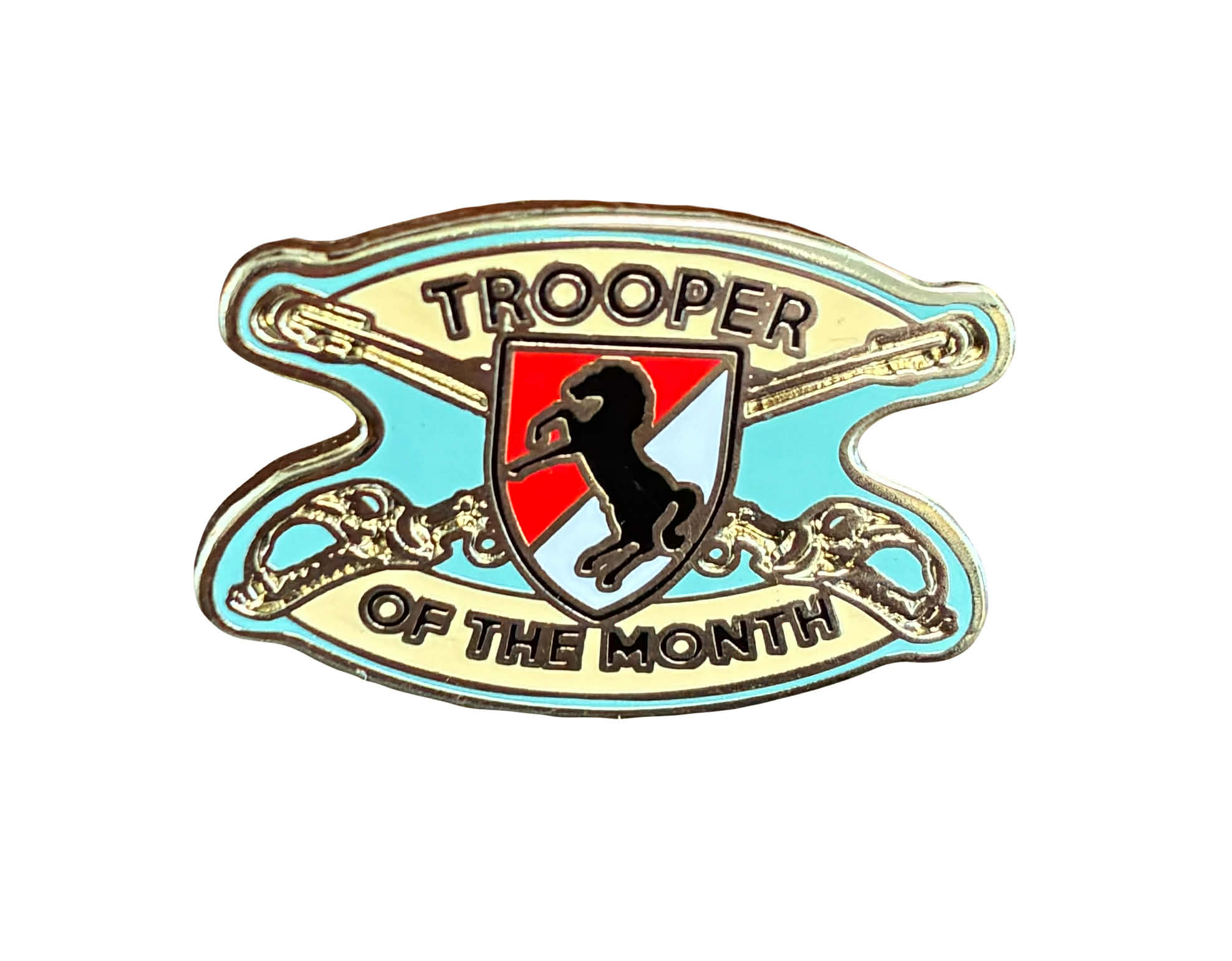 TROOPER OF THE MONTH PIN