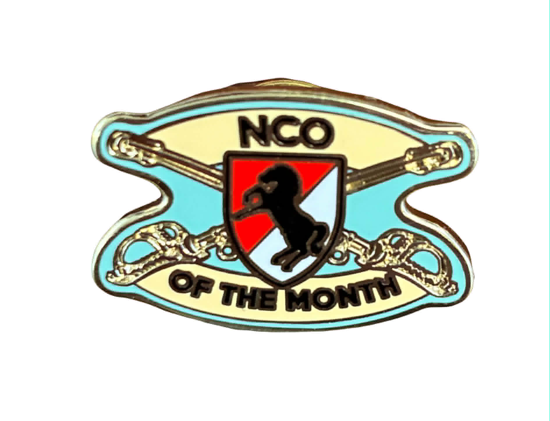 NCO OF THE MONTH PIN