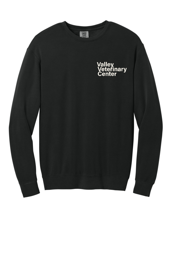 Comfort Colors Lightweight Crewneck Sweatshirt 1466