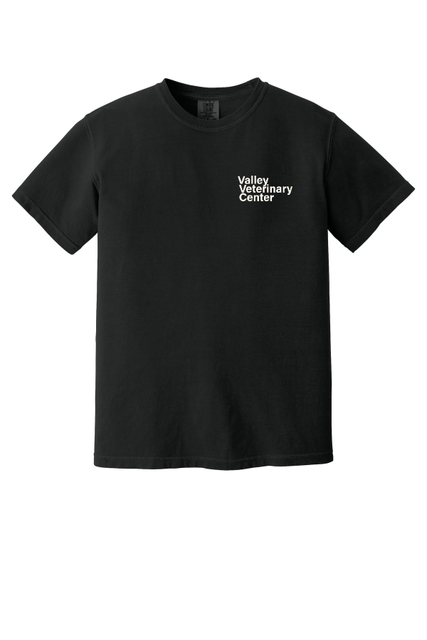 Comfort Color Heavyweight Tee