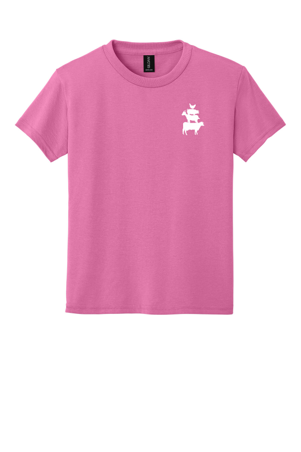 Youth DryBlend 50 Cotton/50 Poly T-Shirt