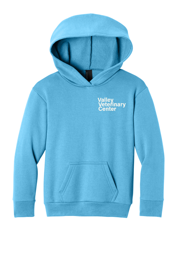 Port & Co Youth Easy Fleece Pullover Hooded