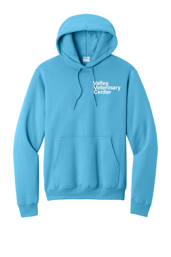 Port & Co Core Fleece Pullover Hooded Sweatshirt