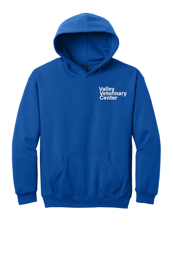 Youth Softstyle Midweight Fleece Hoodie