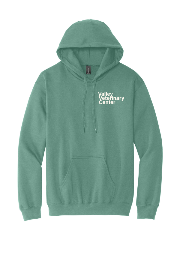 Softstyle Midweight Pullover Hooded Sweatshirt SF500