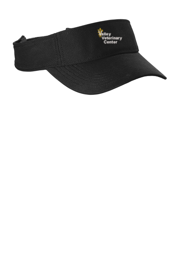 Action Visor