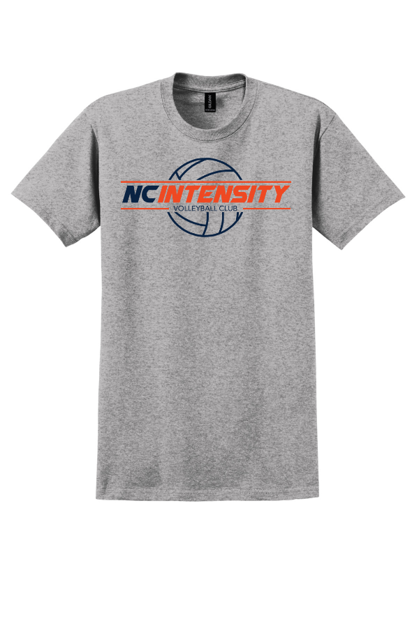 Ultra Cotton 100% US Cotton T-Shirt