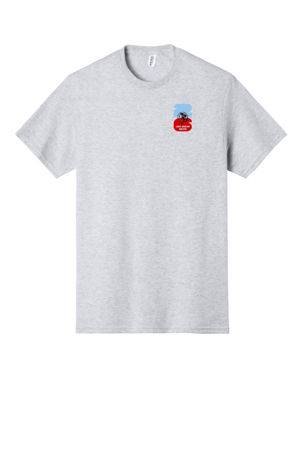 Player T-Shirt- Name and Number