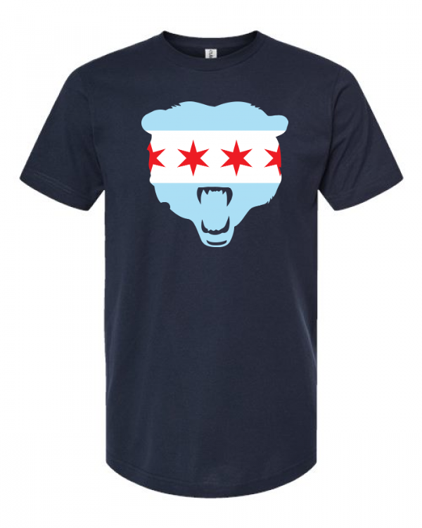 Bears Chicago Flag