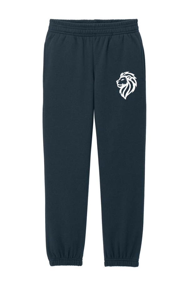 Youth V.I.T- Lion Logo