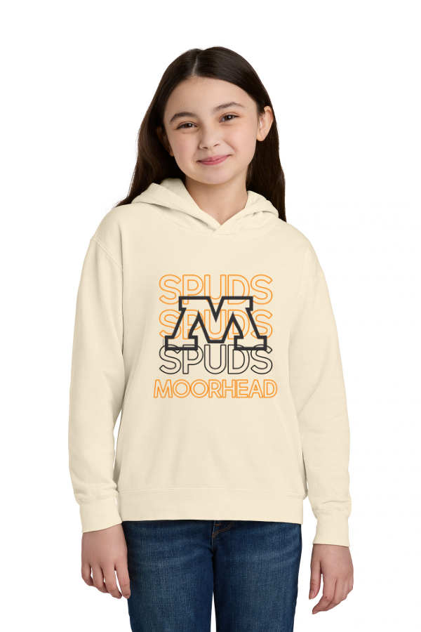 Comfort Colors Youth Lightweight Hooded Sweatshirt 1467Y