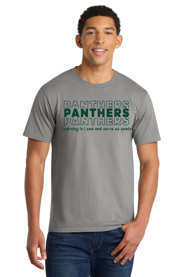 Panthers Stacked Port & Co Adult Fan Favorite Tee
