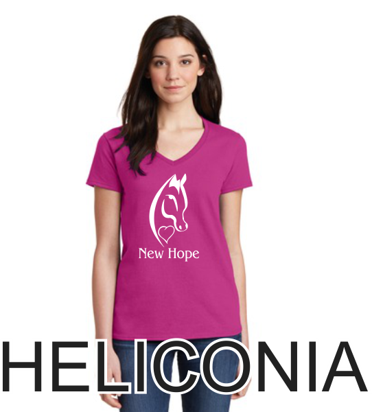 C - Ladies V-Neck T-Shirt